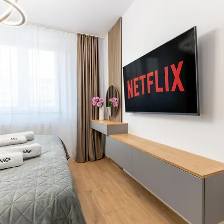 Mohost Magic2 - Heart Story Magic * Brasov