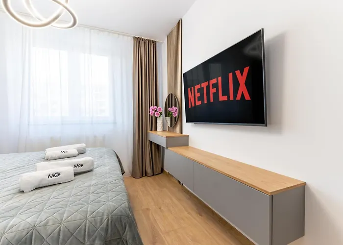 Mohost Magic2 - Heart Story Magic * Brasov