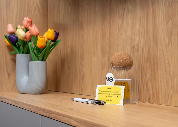 Mohost Magic2 - Heart Story Magic * Brasov