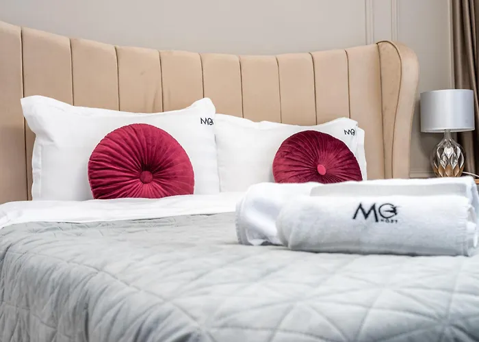 Mohost Magic2 - Heart Story Magic Brasov